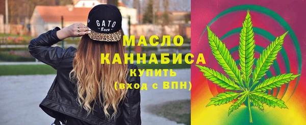 МДПВ Абаза