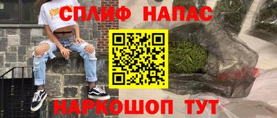 тгк Новодвинск