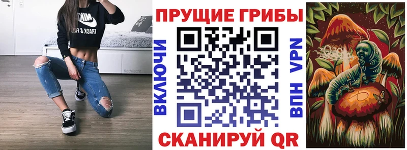 купить наркотик  Шумерля  Псилоцибиновые грибы ЛСД 
