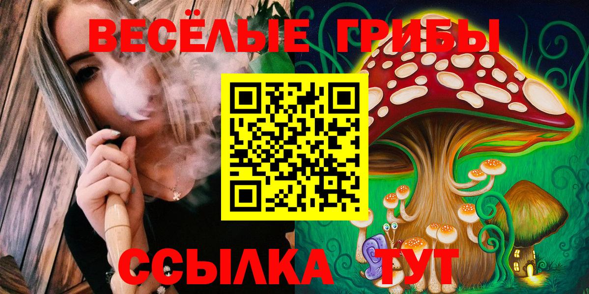 хочу   Галлюциногенные грибы GOLDEN TEACHER  Шумерля  Вход с VPN  Галлюциногенные грибы Cubensis 